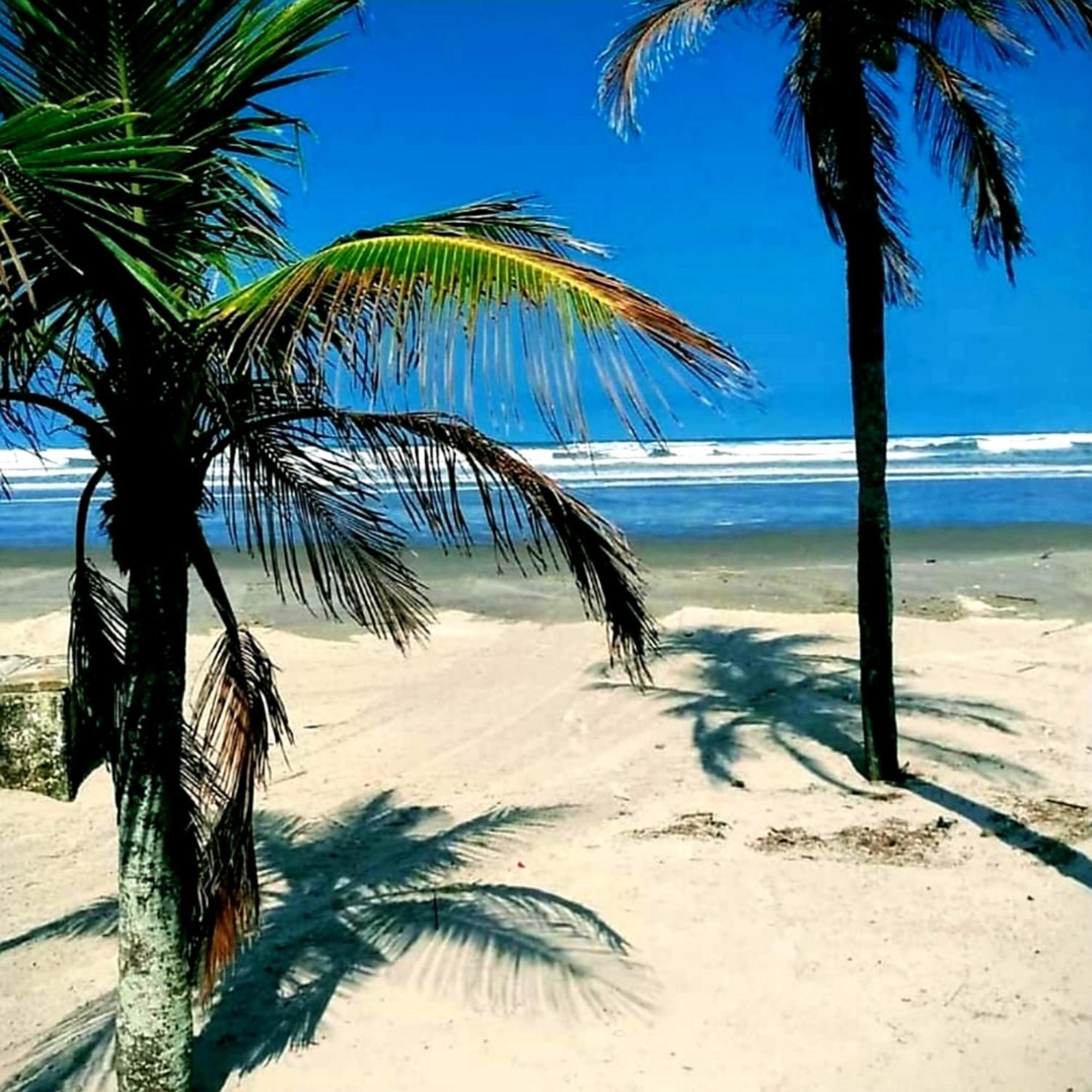 Ferienwohnung Requinte E Sofisticacao Praia Grande  Exterior foto